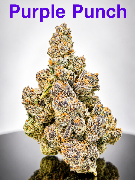 Purple Punch cannabis flower