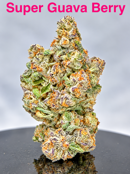 Super Guava Berry cannabis flower