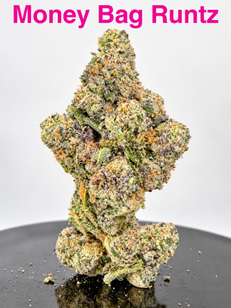 Money Bag Runtz cannabis flower