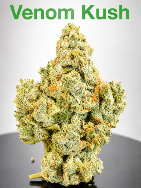 Venom Kush cannabis flower