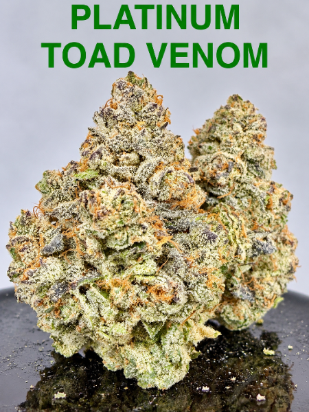 Platinum Toad Venom (Award-Winning) cannabis flower