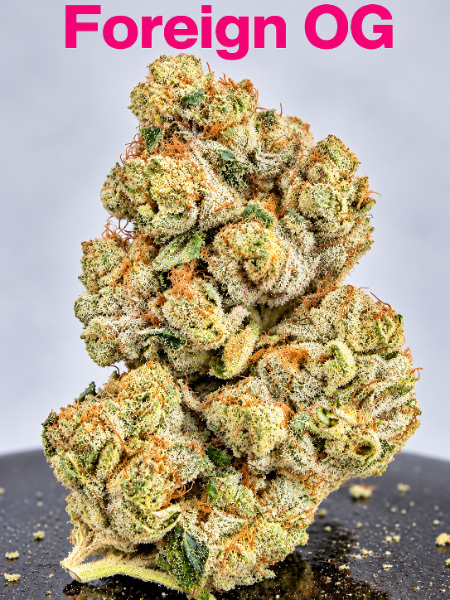 Foreign OG, a Super Top Shelf strain